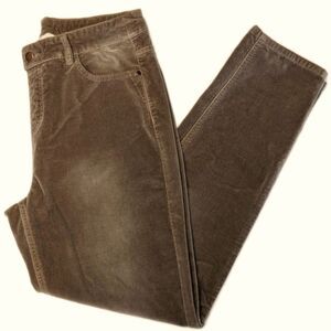 Soft Surroundings 98% cotton velvet skinny ankle pants, light olive green M